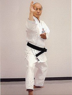 Канг Сугіура біографія, фото, розповіді - колишній голова і майстер японського карате стилю Вадо-рю