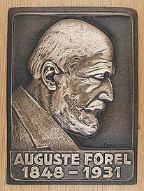 Огюст Анри Форель биография, фото, истории - известный швейцарский невропатолог, психиатр, энтомолог и общественный деятель