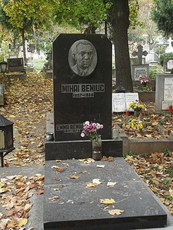 Міхай Бенюк біографія, фото, розповіді - румунський поет, прозаїк і психолог