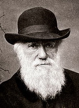 Чарлз Роберт Дарвін біографія, фото, розповіді - педагогіка, в якій навчання розглядається як процес пізнавальної діяльності, відповідний природним законам розвитку людини, займається вивченням видоспецифических особливостей його розвитку в процесі навчання як представника виду Homo sapiens