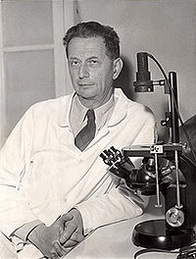 Андре Мишель Львов биография, фото, истории - французский микробиолог, лауреат Нобелевской премии по физиологии и медицине 1965 года